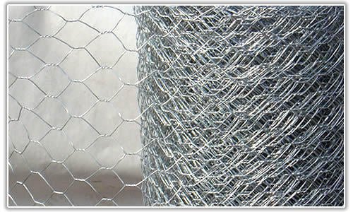 600mm X 25mm X 50Mtr Hexagonal Wire Mesh Roll - Burkes of Rathnew