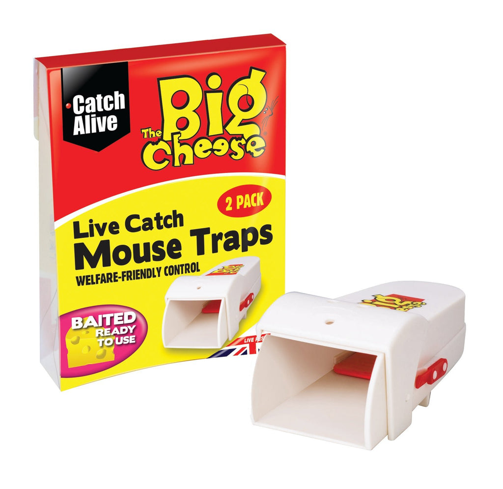 Big Cheese Live Catch Mouse Trap - Burkes of Rathnew